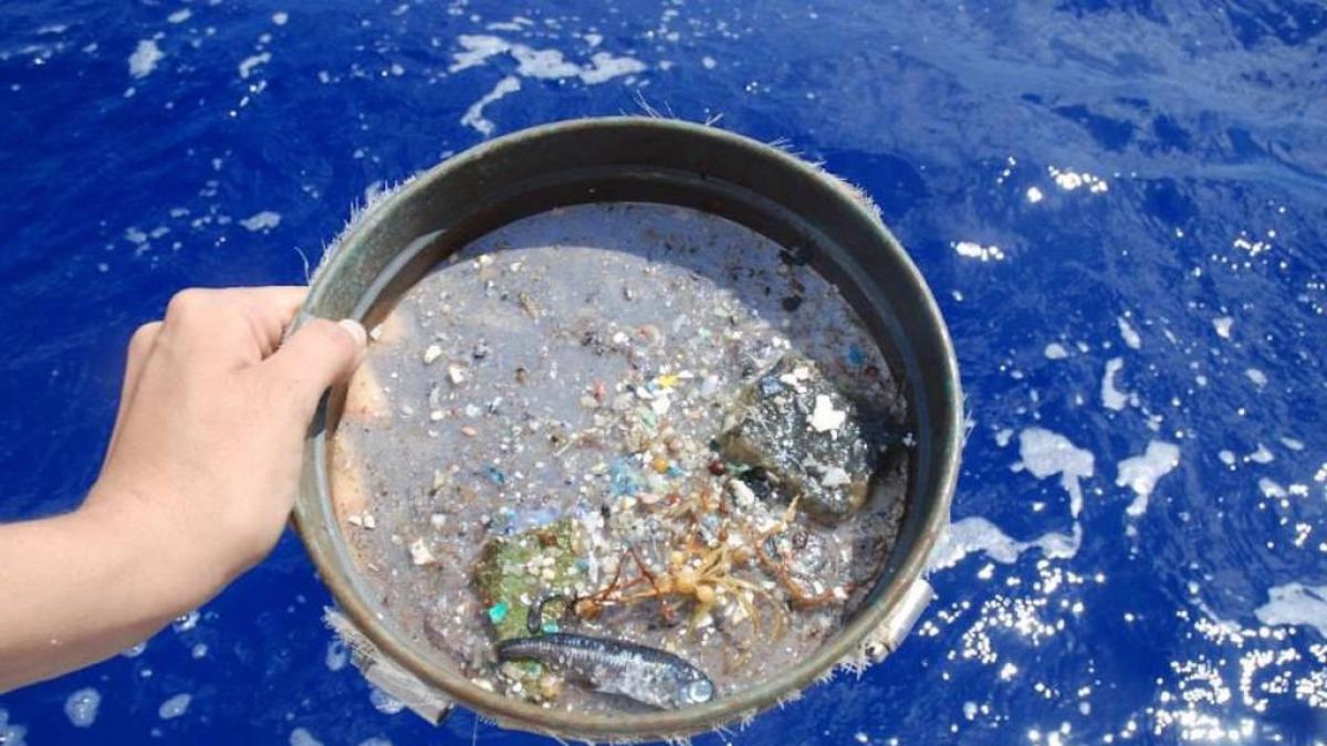 camiseta de manga corta